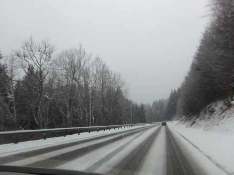 16709512_1251528421562532_953094422_o