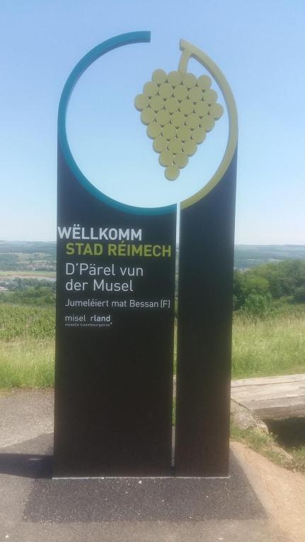 18789418_1351875841565901_1898015550_o