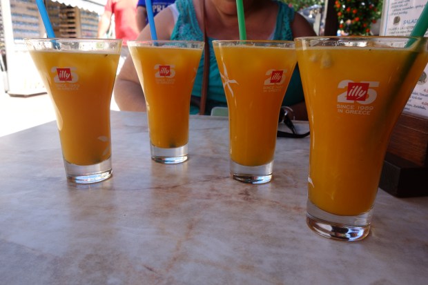 crète sauvage JUS D'ORANGEJUS D'ORANGE crète sauvageDSC00054.JPG