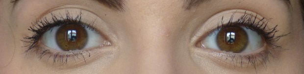 too faced (gauche) : loreal (droite)