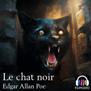 Chronique Le Chat Noir Edgar Allan Poe livre Audio LadiesColocBlog